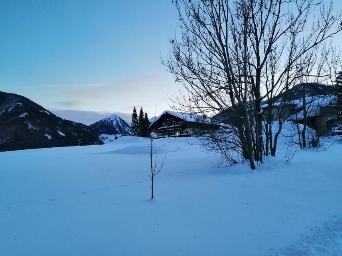 Zur Sonnigen, Eleganten Kuh Schladming Exteriör bild